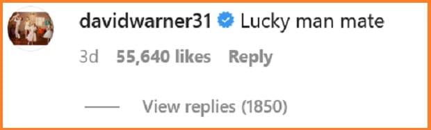 david warner comment in Anushka Sharma